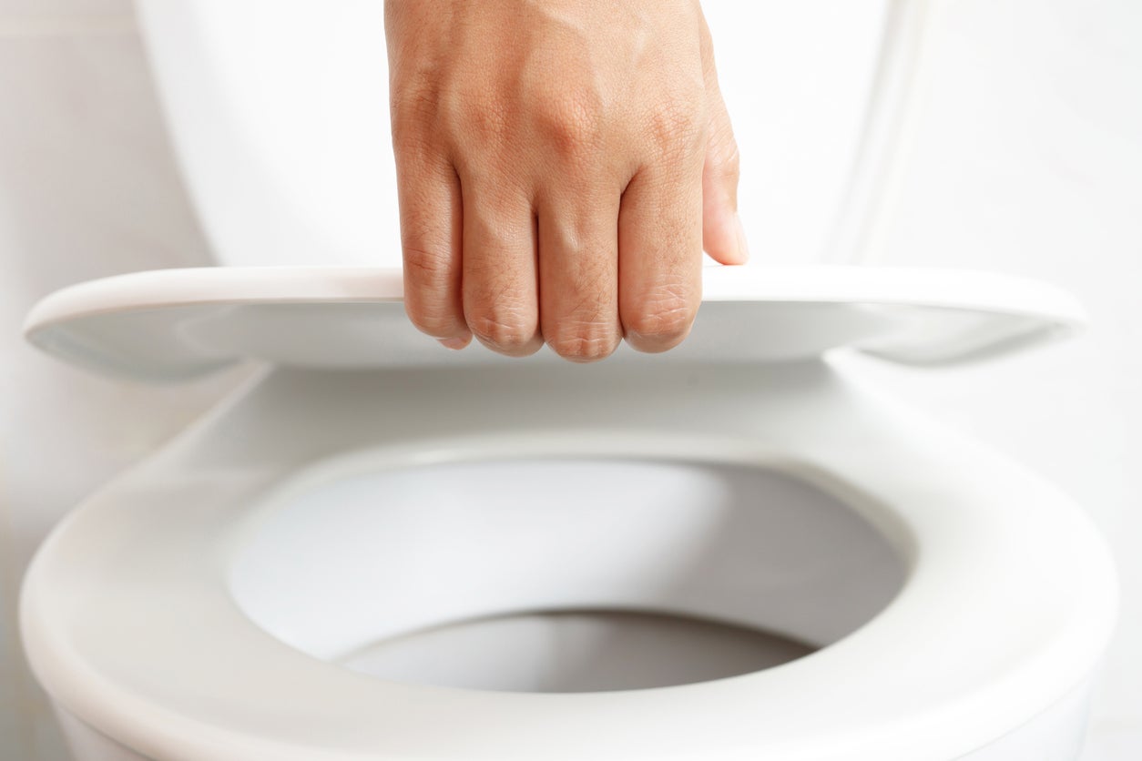 Can STDs Survive in Toilet Water?